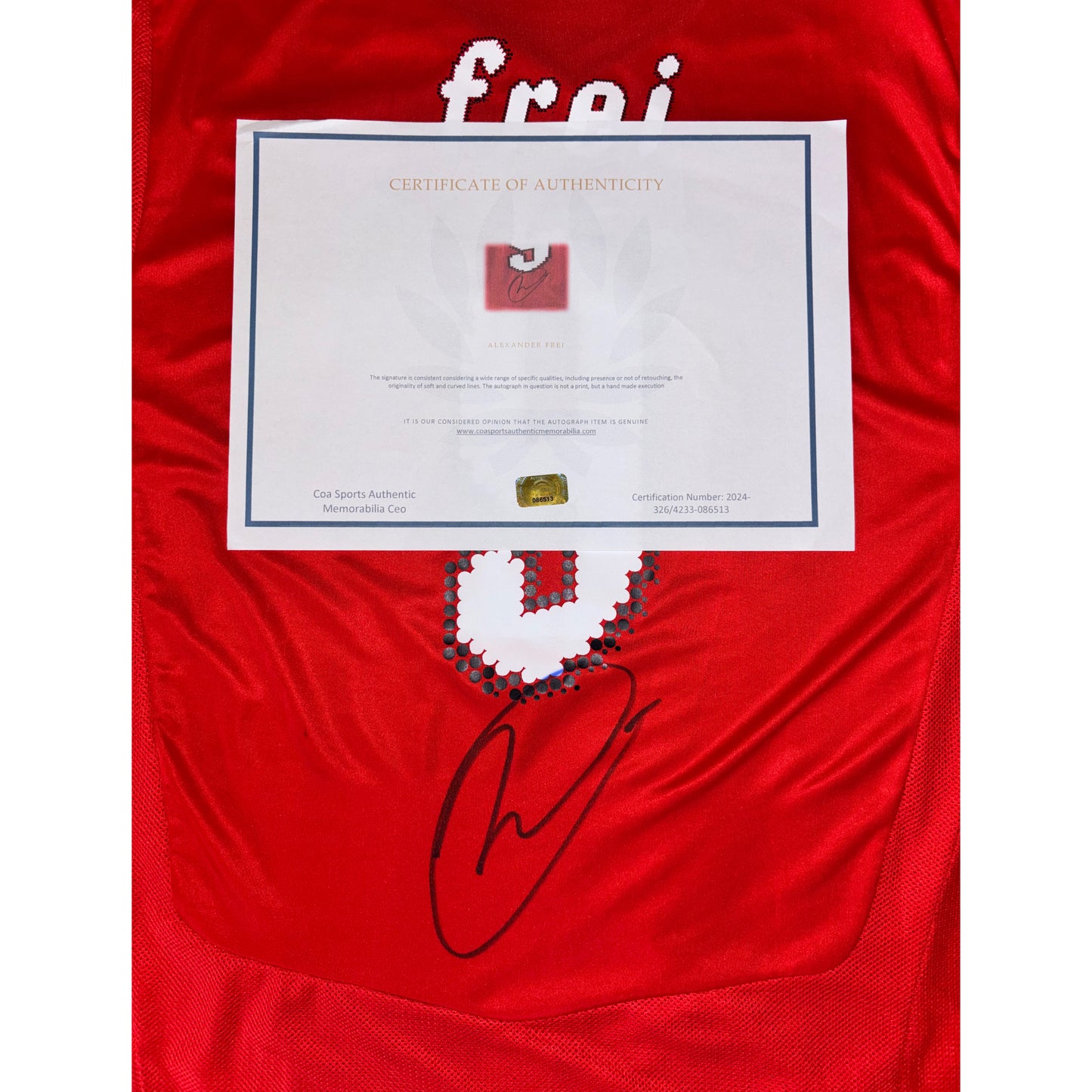 2008 Suisse Domicile - Alex Frei (signé) (M)